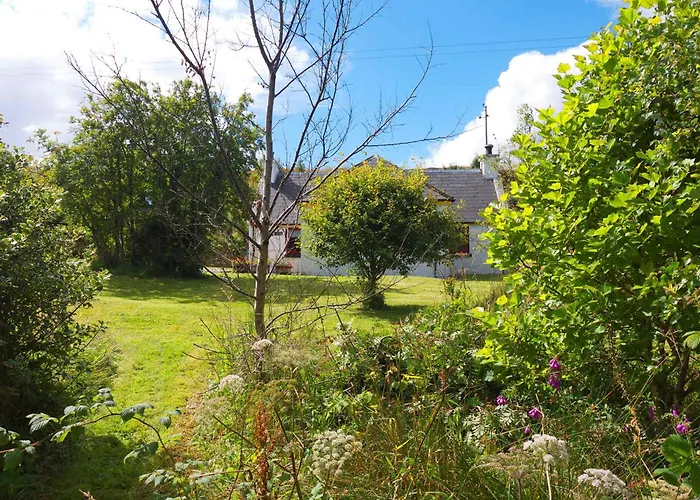 Araucaria Croft Skye