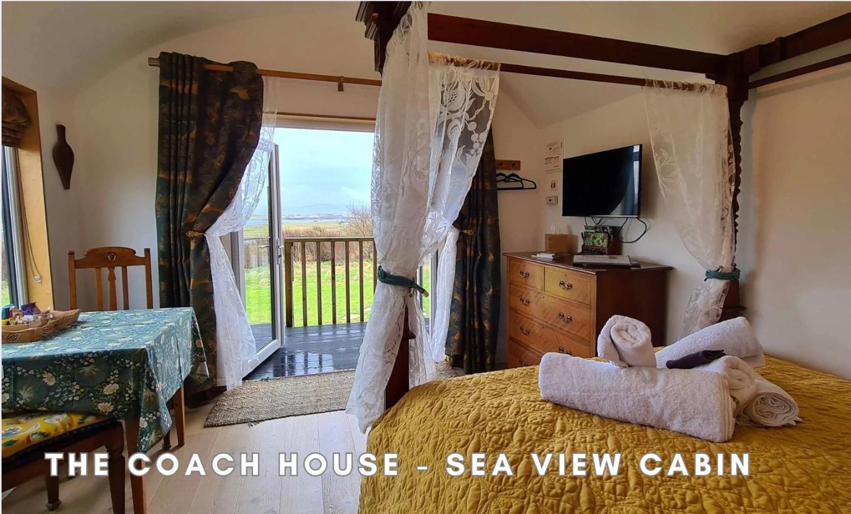 Araucaria Croft Skye *
